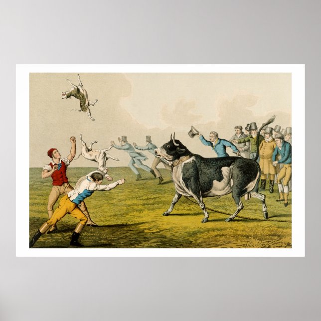 Pôster 'Bull Baiting', pub. by Thomas McLean, 1820, (prin (Frente)