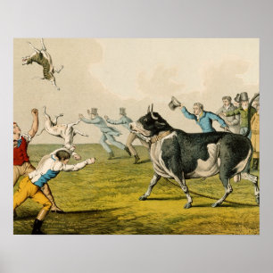 Poster 'Bull Baiting', pub. by Thomas McLean, 1820, (prin