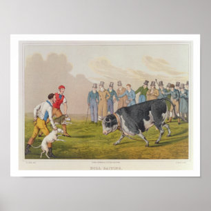 Poster "Bull Baiting", pub. de Thomas McLean, 1820, (impr