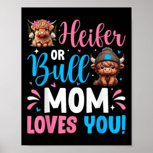 Poster Bull Ou Heifer Gênero Revela Vaca Do Planalto Mãe