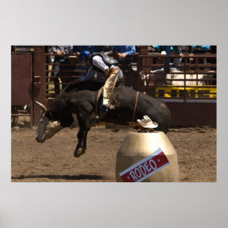 Poster Bull Rider continua por uma vida querida