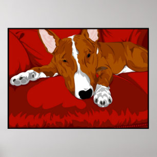 Poster Bull Terrier inglês preguiçoso