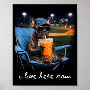 Poster Bulldog bebe café gelado campo de beisebol vivo aq