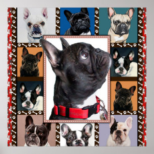 Poster Bulldog Francês, Lança-Bolsa Francesa,