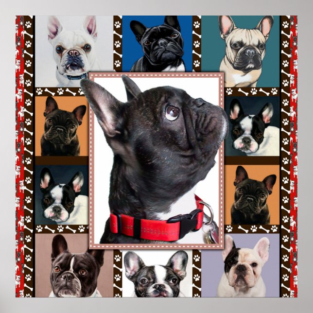Poster Bulldog Francês, Lança-Bolsa Francesa, (Frente)
