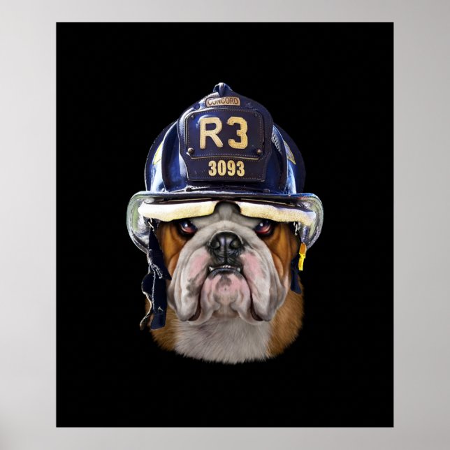 Poster Bulldog Inglês Grumpy Vestindo Helmet para Bombeir (Frente)