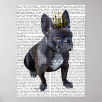 Bulldog King francês