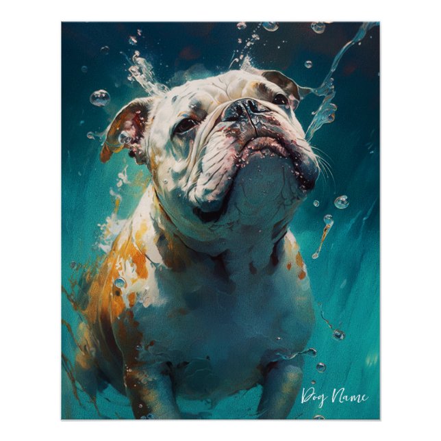 Pôster Bulldog swimming in water 001 (Frente)