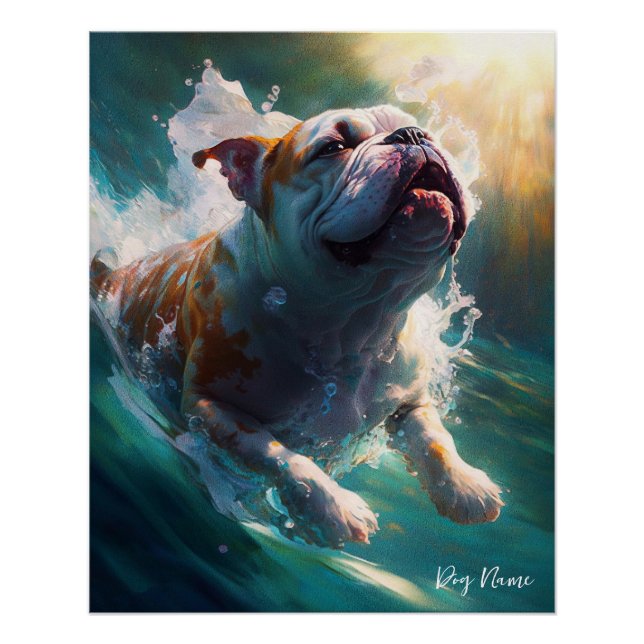 Pôster Bulldog swimming in water 002
