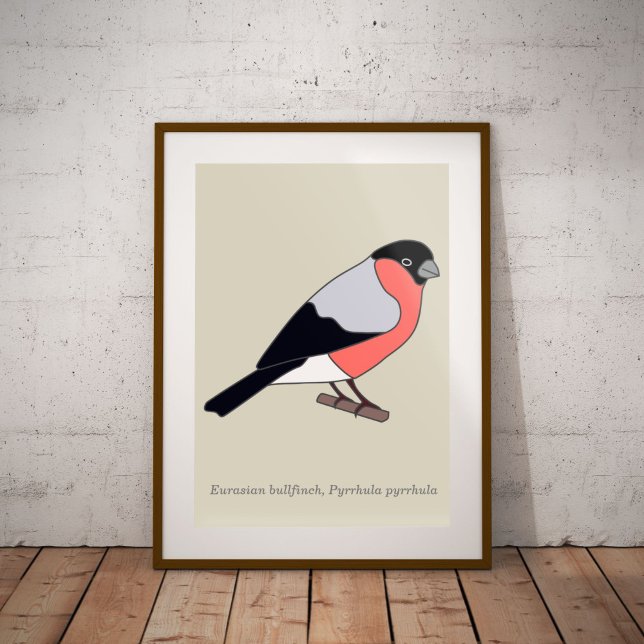 Poster Bullfinch (Bullfinch poster)