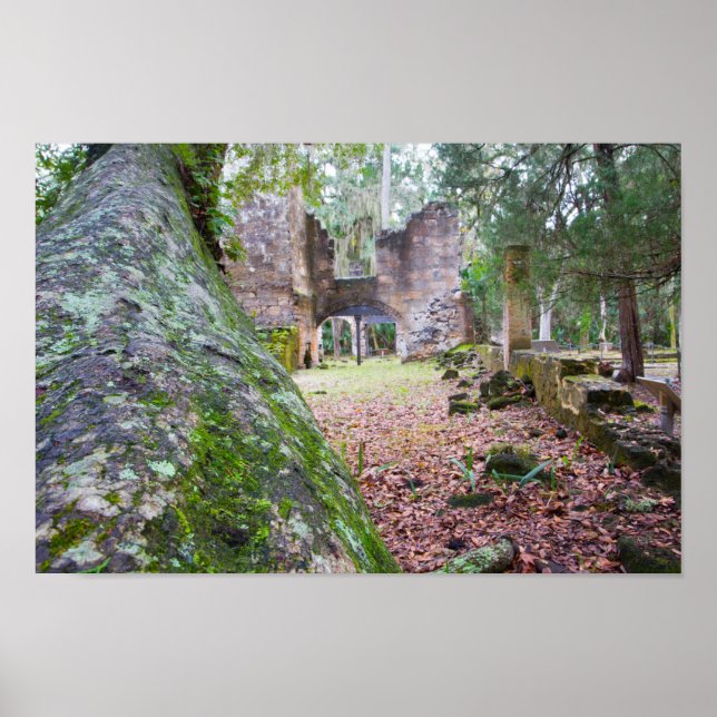 Poster Bulow Plantation, Florida (Frente)