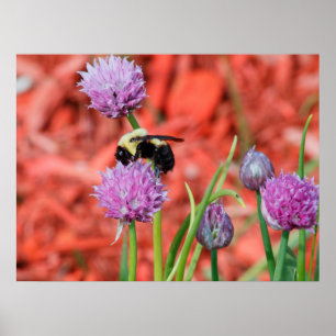 Poster Bumble a abelha
