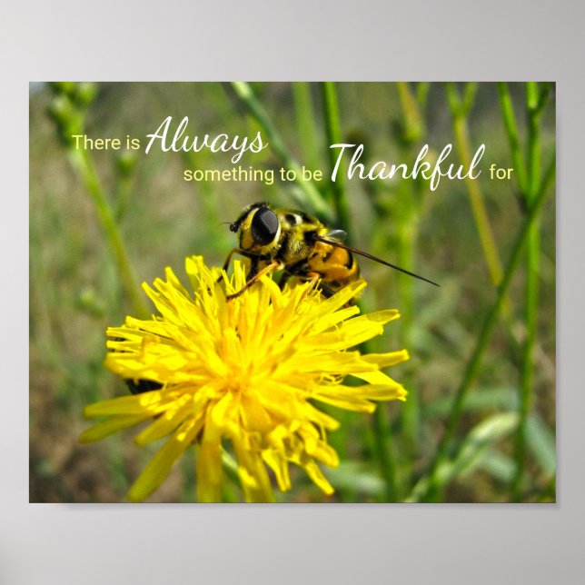 Poster Bumble Bee Yellow Dandelion Sempre Graças (Frente)