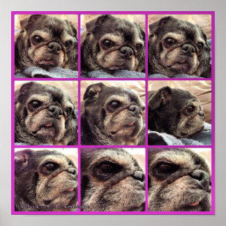 Pôster Bumblesnot Poster: Sombras do Bumble