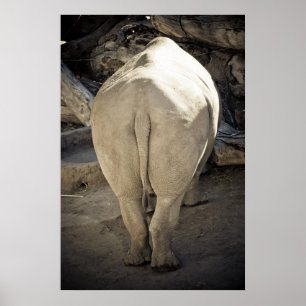 Pôster Bumbum do rinoceronte