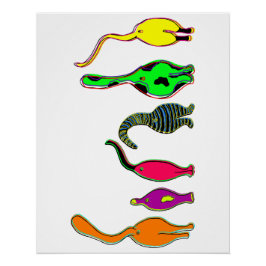 Pôster Bumbuns Coloridos de Gatos