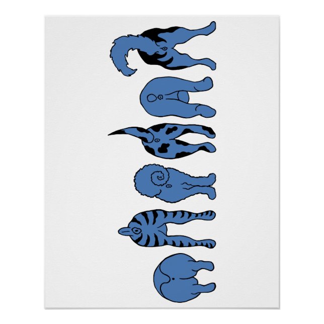 Pôster Bumbuns de Cachorro Azul (Frente)