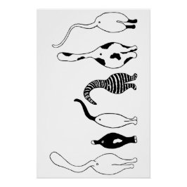 Pôster Bumbuns de gatos