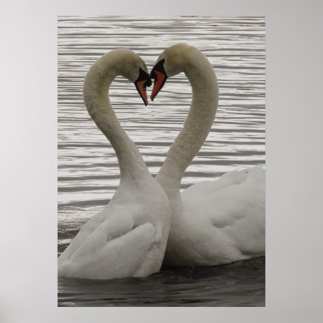 Poster Bumping Heads (Frente)