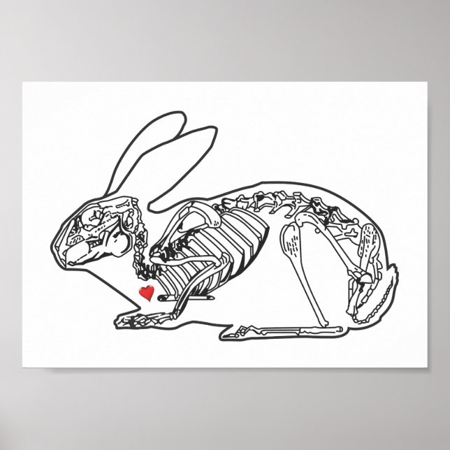 POSTER BUN CUIDADO (Frente)