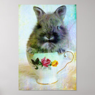 Pôster Bunny do Teacup