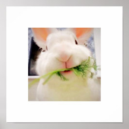 Poster Bunny Munching