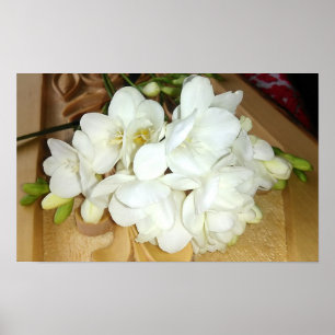 Pôster Buquê branco do Freesia