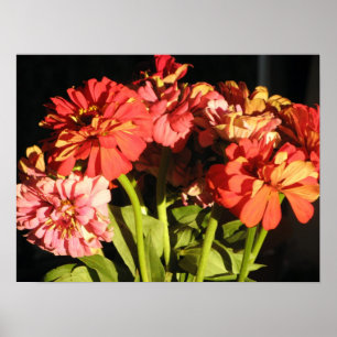 Pôster Buquê Brooklyn