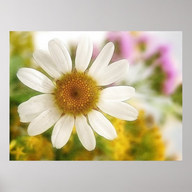 Poster Buquê da Flor - Margarida Branca (Frente)