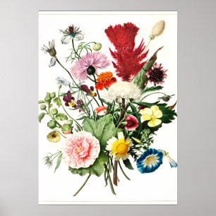 Poster Buquê da ilustração de safra das Flores