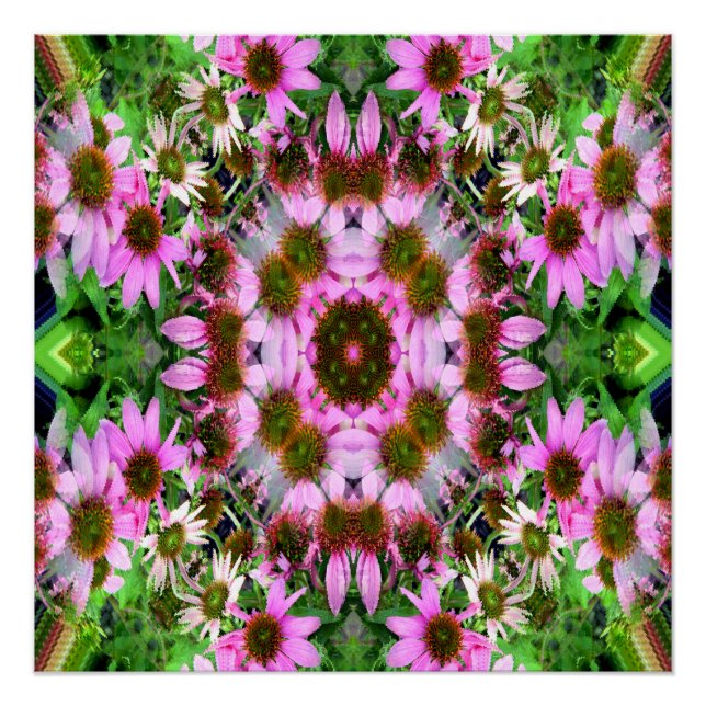 Pôster Buquê de Echanicea... (Frente)