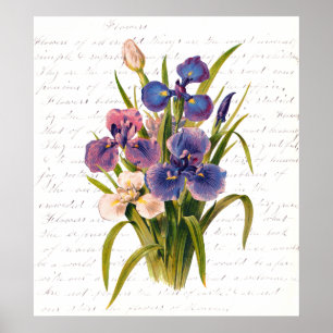 Poster Buquê de Lilacs - Texto de Clara Balfour