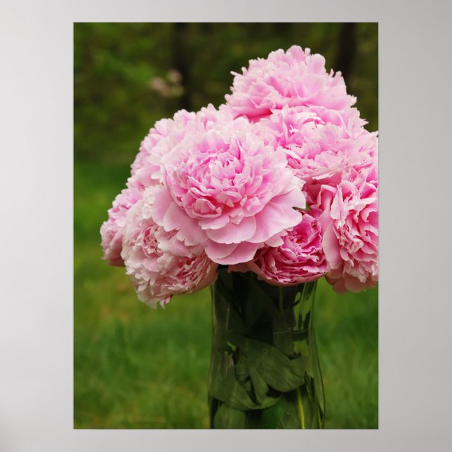 Pôster Buquê de Peony Rosa (Frente)