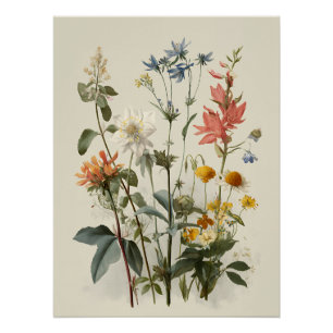 Pôster Buquê de Prado de Flores Silvestres