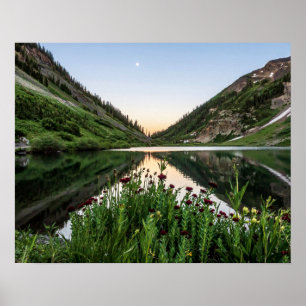 Poster Buquê de Recursos // Primeiro Plano Floral