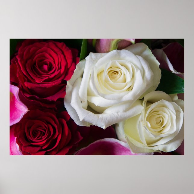 POSTER BUQUÊ DE ROSAS (Frente)