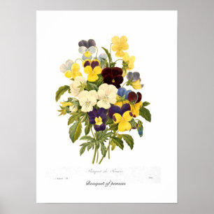 Pôster Buquê dos pansies