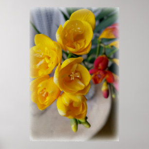 Pôster buquê freesias