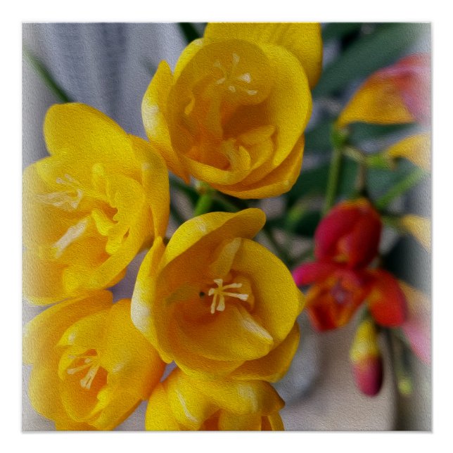 Pôster buquê freesias (Frente)