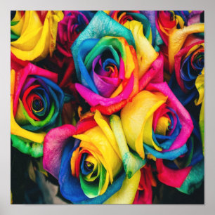 Poster Buquê Rosas arco-íris
