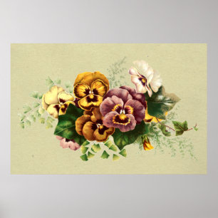 Poster Buquê Vintage Pansies