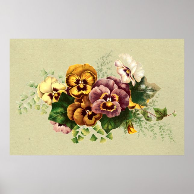 Poster Buquê Vintage Pansies (Frente)