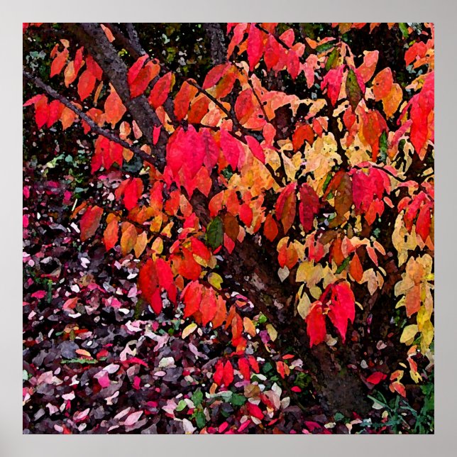 Poster Burning Bush Abstrato (Frente)