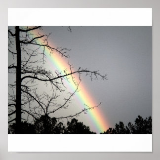 Pôster Buscando o Rainbows