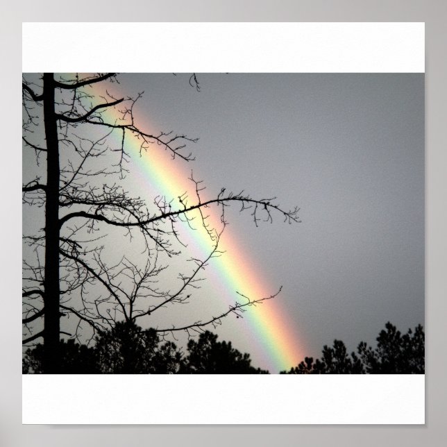 Pôster Buscando o Rainbows (Frente)