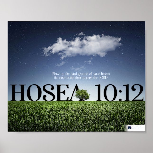 Poster Buscar o Senhor (Hosea 10:12) (Frente)