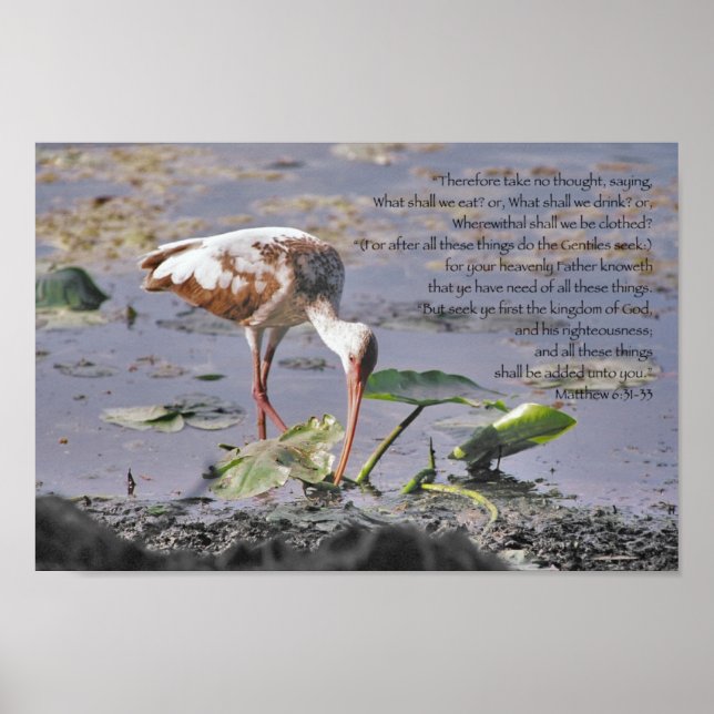 Poster Buscar primeiro o reino da Escritura de Deus (Frente)