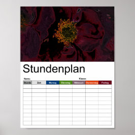 Poster Bush Rosa Neon