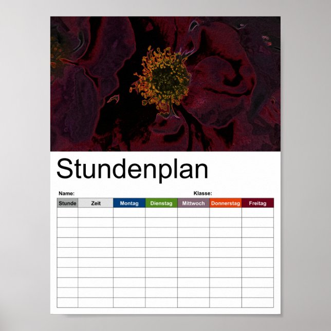 Poster Bush Rosa Neon (Frente)