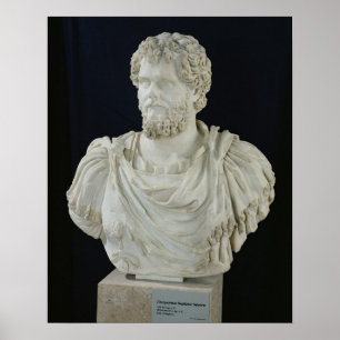 Pôster Bust of Septimus Severus